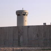 mur03