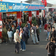 DSC 4361