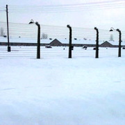 P0004570b