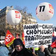Année du chien