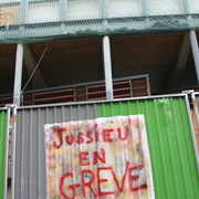 Non au CPE