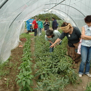 Amap 9juillet 2006