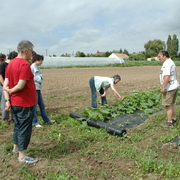 amap9juillet06031
