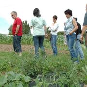 amap9juillet06042