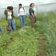 amap9juillet06044