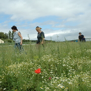 amap9juillet06048