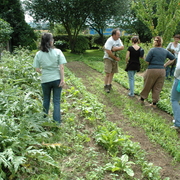 amap9juillet06065