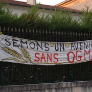 OGM Marmande 3