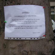 Gestion des chiens