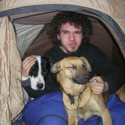 Guillaume et ses chiens