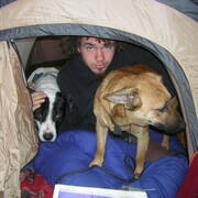 Guillaume et ses chiens