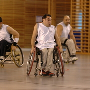 3mars07basket0115
