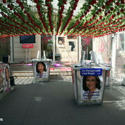 QG de campagne de Ségolene ROYAL