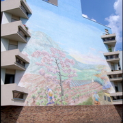 Campagne à la ville