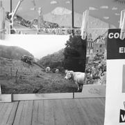 Expo du 'Comité Aspe'