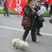 Amiens le 18/10/2007