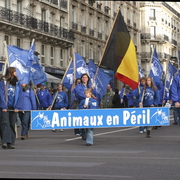 Animaux en péril