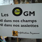 OGM: ni dans nos champs, ni dans nos assiettes
