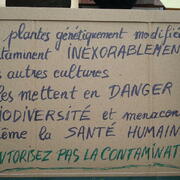 OGM = Danger biodiversité