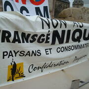 Non au trangénique; confédération paysanne
