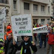 MEDAD_06-03-08  _042.JPG
