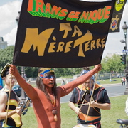 Transgénique ta…