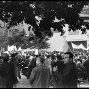 Manifestation