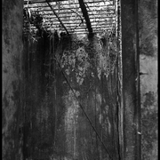 Grille au plafond des cellules