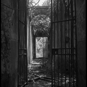 Entrée des cellules