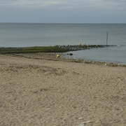 sortie-mer-2008152