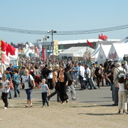 DSC 0050
