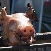 Le cochon de lait grillé de Gennevilliers