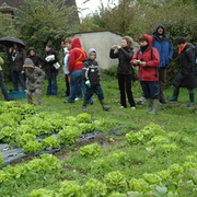 DSC 0298
