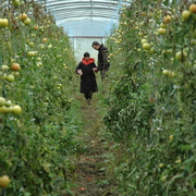 DSC 0340