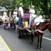 Asuncion partisans de Lino Oviedo -Charrettes