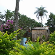 Paraguay cabane de sans toit à Capiata