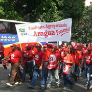 venezuela Manifestation pour le Si au réferendum constitutionnel