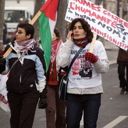 Manifestantes