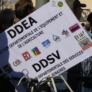 DDEA-DDSV