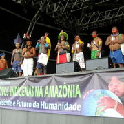 Les peuples d'Amazonie sur le podium
