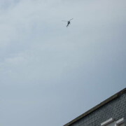 20090627ManifNoBorderCalais-073.jpg
