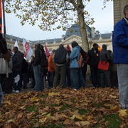 Feuilles mortes