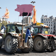 Manif des paysans en tracteur à Paris
