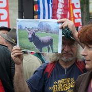 Manifestant