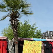 Plysorol 5 juin - 14