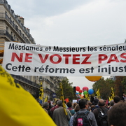senat