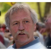 JOSE BOVE 2011