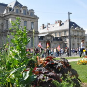 1er Mai 2011 . Grenoble