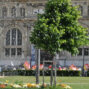 1er Mai 2011 . Grenoble