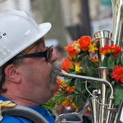 Zek ! la fanfare klaxon